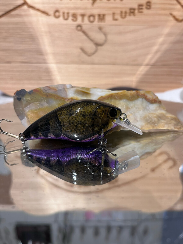 Mako Squarebill - Green Pumpkin Purple
