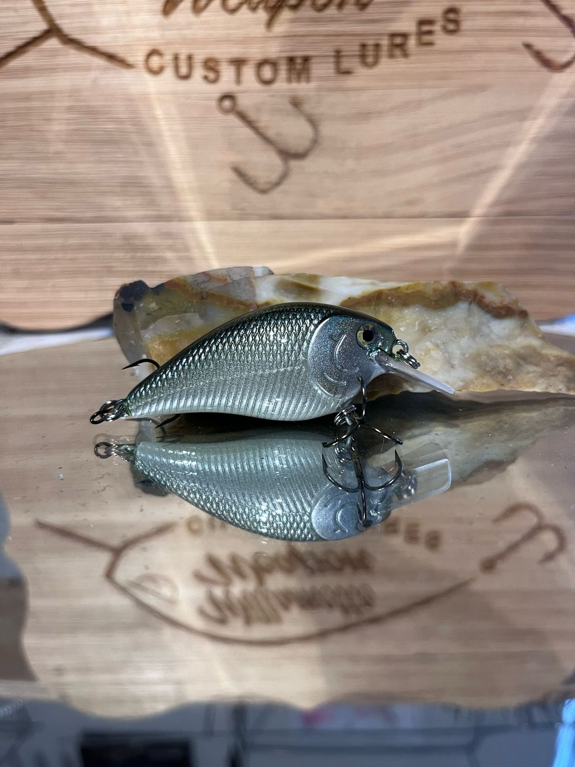 Mako Squarebill - Blueback Herring