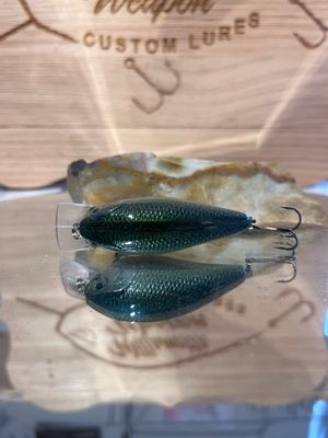 Mako Squarebill - Blueback Herring