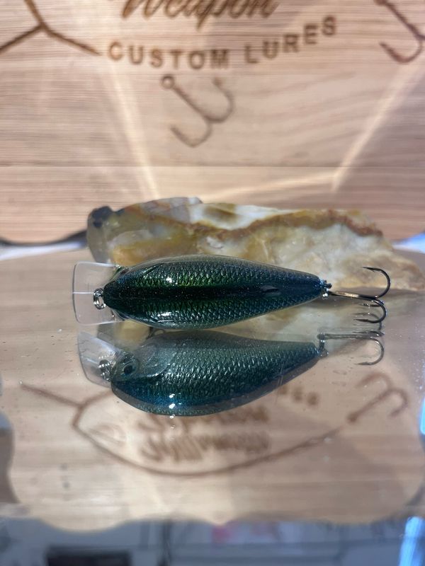 Mako Squarebill - Blueback Herring