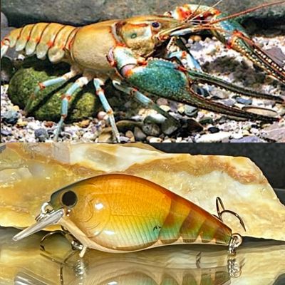 tablerock craw