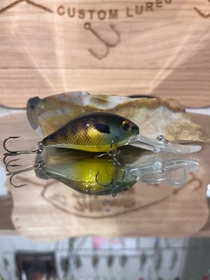 Houlihan - Bluegill