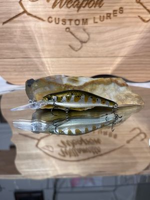 Wasp - Stickleback