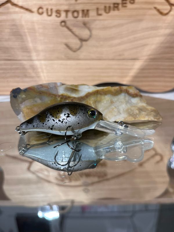Houlihan - Stickleback