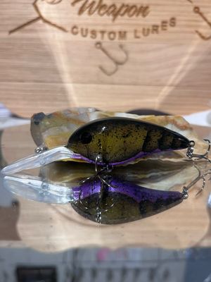 green pumpkin purple