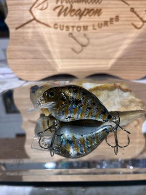 Super squarebill - Allstar Perch