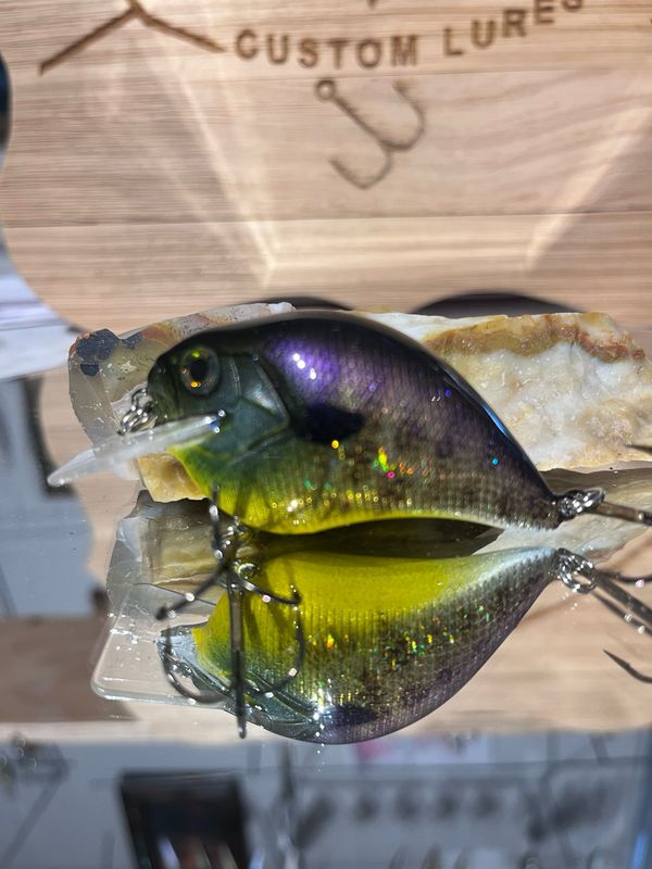 Super squarebill - Bluegill