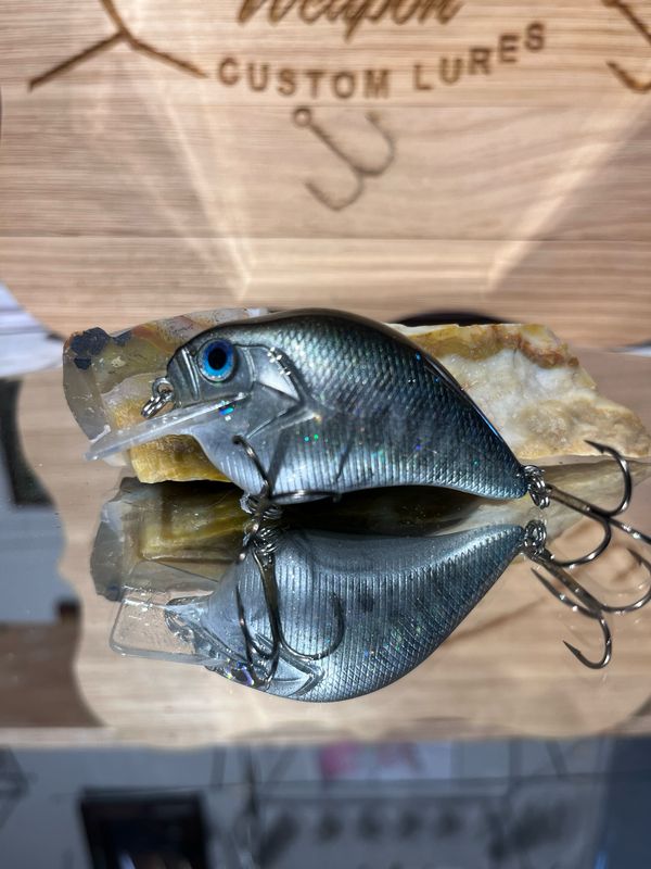 Super squarebill - Baby Crappie