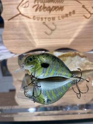 Super squarebill - Chartreuse Perch