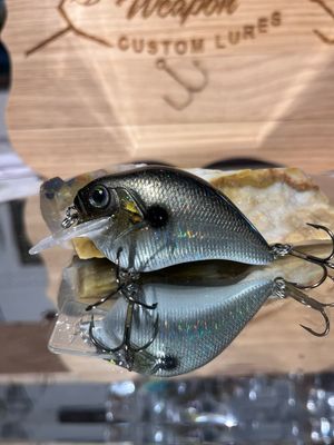 Super squarebill - Gizzard Shad