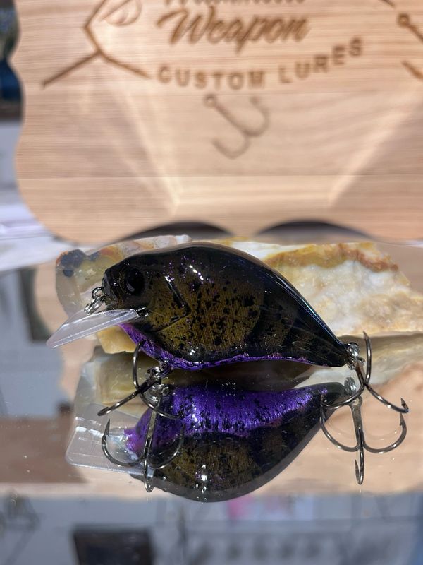 Super squarebill - Green Pumpkin Purple