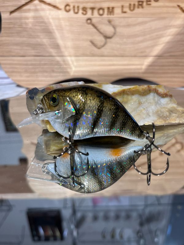 Super squarebill - Mjölnir Perch