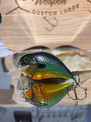 Super squarebill - Pumpkinseed Bluegill