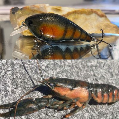 Hood River Craw