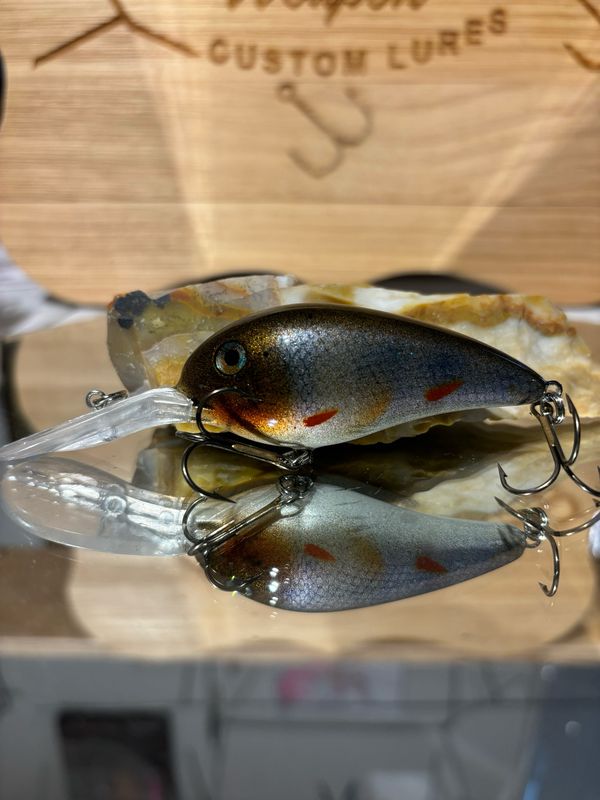 Captor - Creek Chub