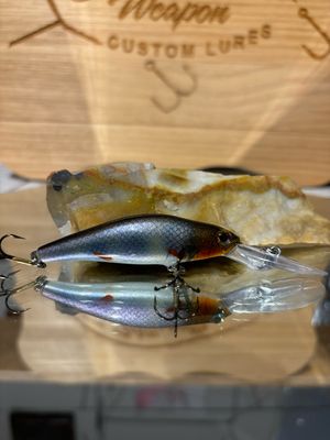 Wasp - Creek Chub