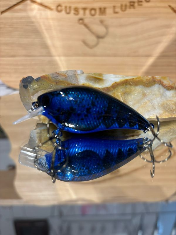 Mako Squarebill - Black &amp; Blue Bruiser