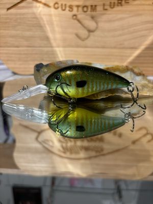 Captor - Cool Gill