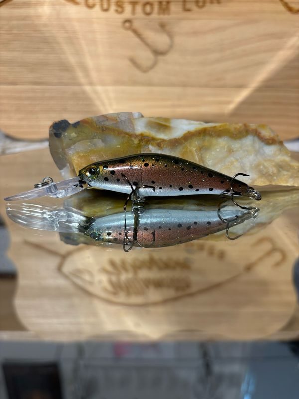 Wasp - Roman Made Trout