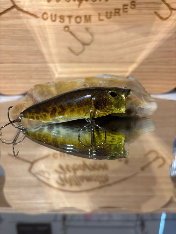 Popper - Bull Frog