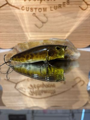 Popper - Bull Frog