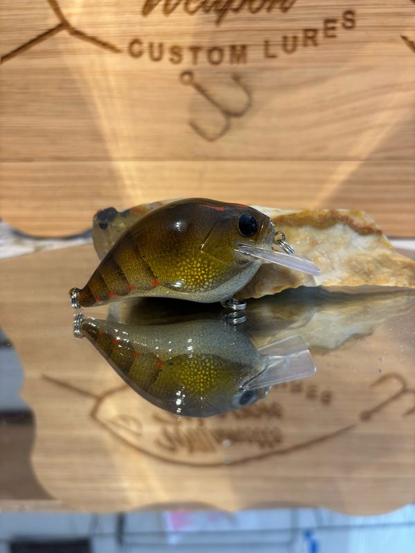 Super squarebill - Bottlebrush Craw