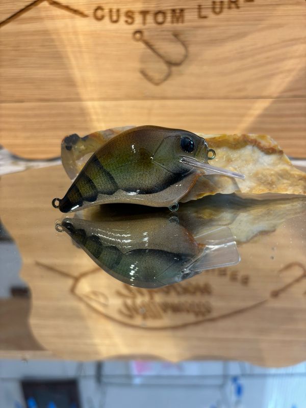 Super squarebill - Cumberland Craw