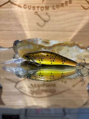 Wasp - Lite trout