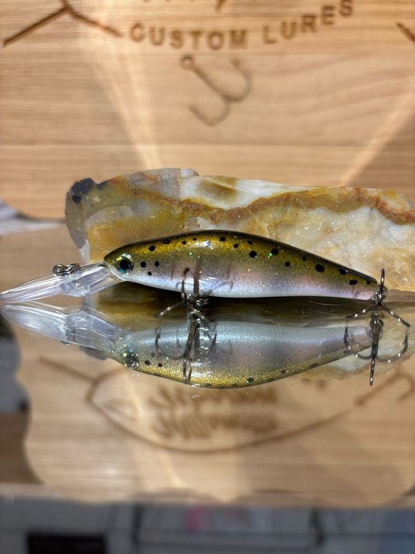 Wasp - Smolt