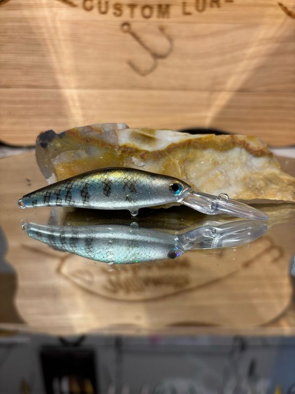 Wasp - Baby Crappie