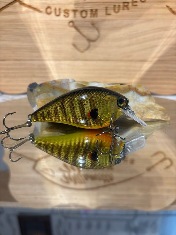 Dozer 2.5 Squarebill - Redear Sunfish