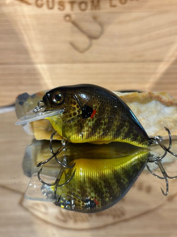 Super squarebill - Redear Sunfish