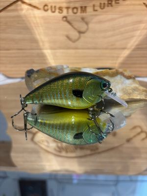 Dozer 2.5 Squarebill - Cool Gill
