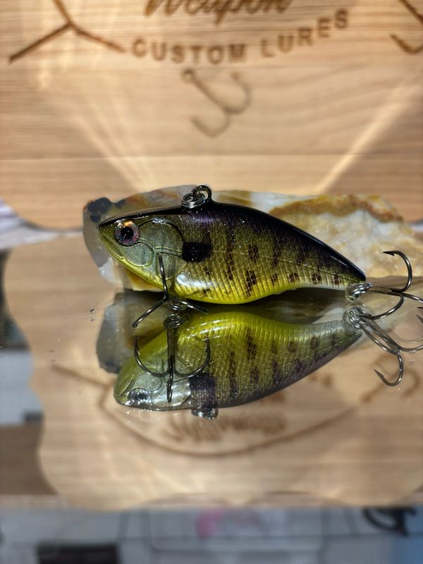 B52 - Bluegill