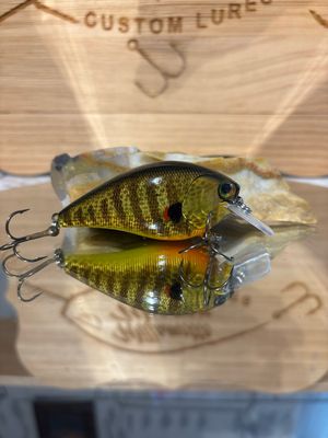 Dozer 2.5 squarebill