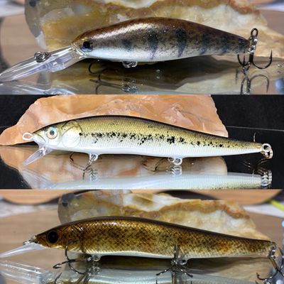 Jerkbaits