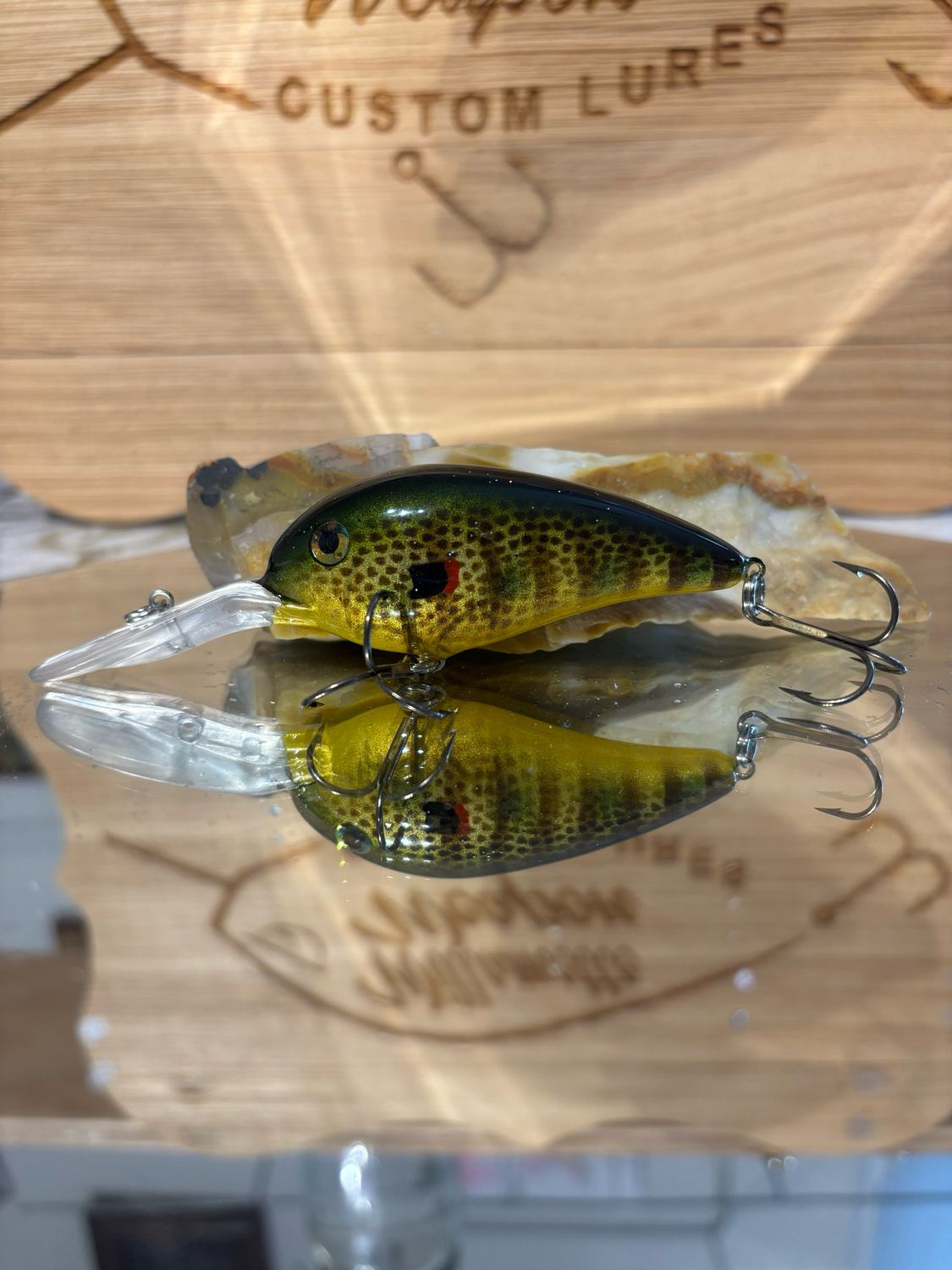 Captor - Redear Sunfish