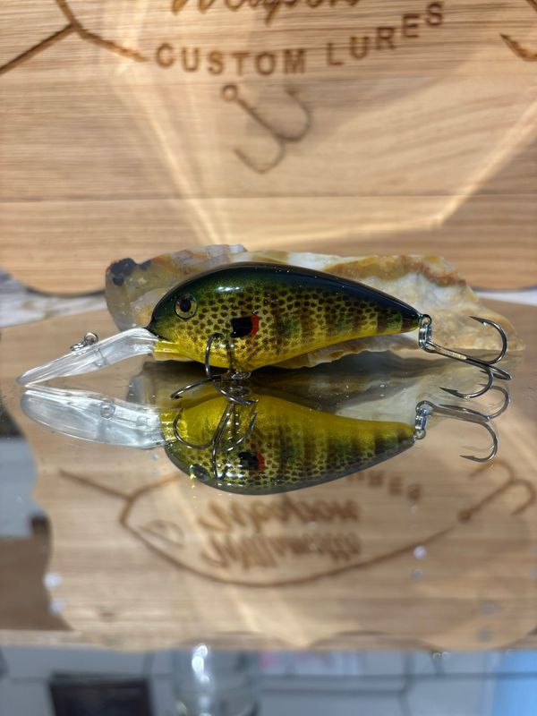 Captor - Redear Sunfish
