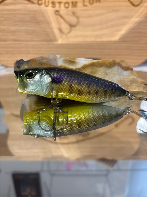 Popper - Bluegill