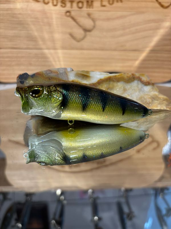 Popper - River Perch