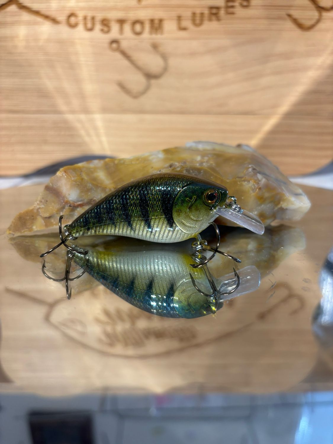 Mako Squarebill - River Perch