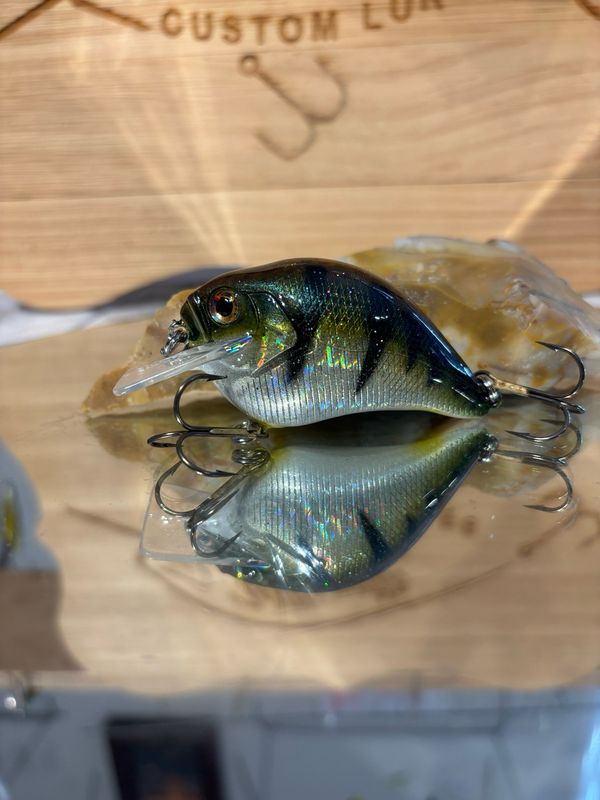 Super squarebill - River Perch