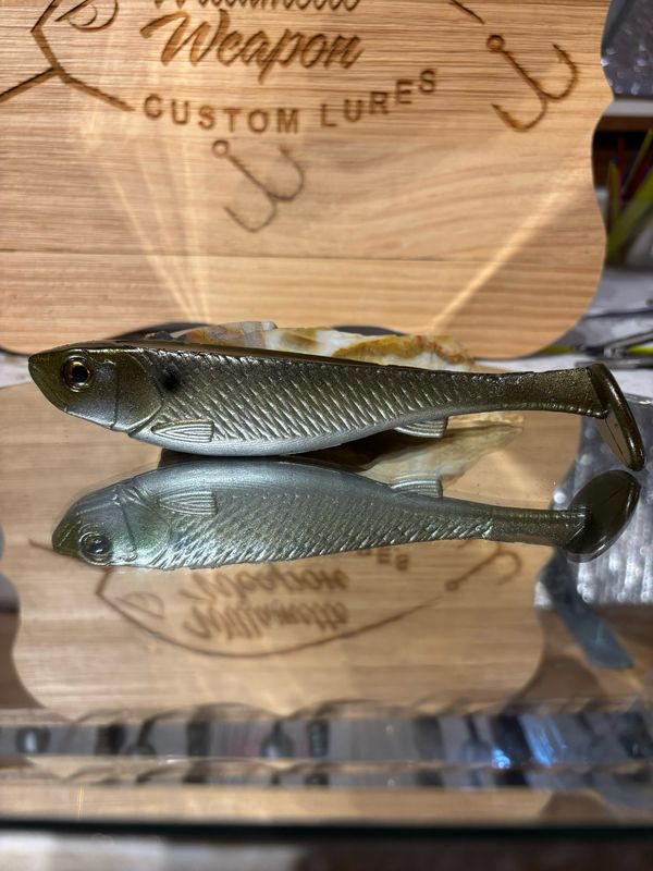 Phantom 6 - Gizzard Shad