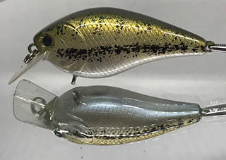 Mako Squarebill