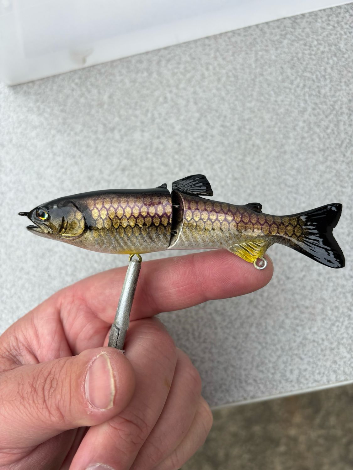 5” Glide - Carp