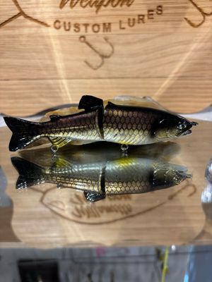 5” Glide - Golden Shiner