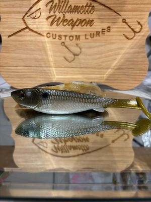 Phantom 6 - Gizzard Shad