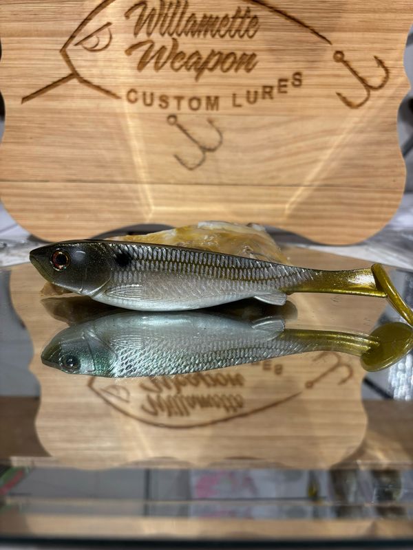 Phantom 6 - Gizzard Shad