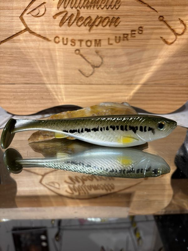 Phantom 6 - Baby Bass