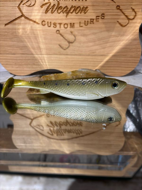 Phantom 6 - American Shad